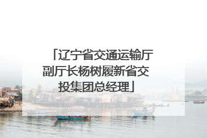 辽宁省交通运输厅副厅长杨树履新省交投集团总经理